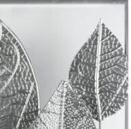 Kovová nástenná dekorácia v ráme Strieborné listy, 50x50 cm% 7