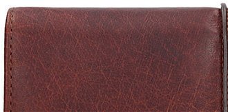 Lagen dámská peněženka kožená BLC/4233 Cognac 6