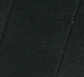 Lagen Pánska peňaženka kožená PW 520 Čierna 5
