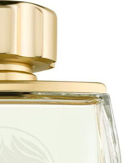 Lalique Pour Homme Equus parfumovaná voda pre mužov 75 ml 7