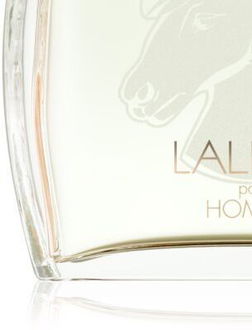 Lalique Pour Homme Equus parfumovaná voda pre mužov 75 ml 8