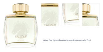 Lalique Pour Homme Equus parfumovaná voda pre mužov 75 ml 1