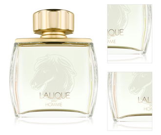 Lalique Pour Homme Equus parfumovaná voda pre mužov 75 ml 3