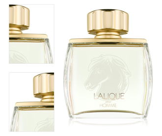 Lalique Pour Homme Equus parfumovaná voda pre mužov 75 ml 4