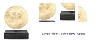 Lampa "Moon", čierne drevo - Gingko 1