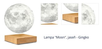 Lampa "Moon", jaseň - Gingko 1
