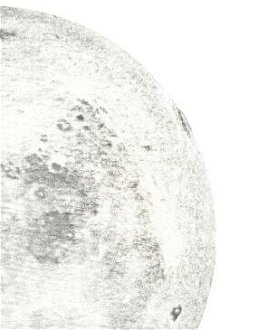 Lampa "Moon", orech - Gingko 7
