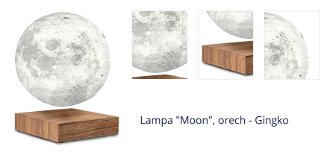 Lampa "Moon", orech - Gingko 1