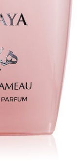 Le Chameau Arabia Haya parfumovaná voda pre ženy 100 ml 9