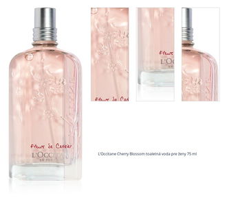 L’Occitane Cherry Blossom toaletná voda pre ženy 75 ml 1