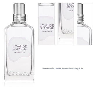 L’Occitane White Lavender toaletná voda pre ženy 50 ml 1