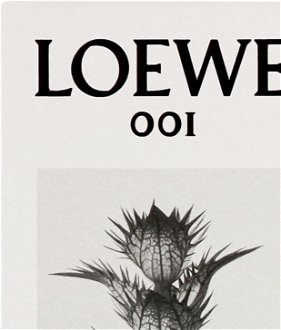 Loewe 001 Man - EDP 100 ml 6