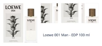 Loewe 001 Man - EDP 100 ml 1