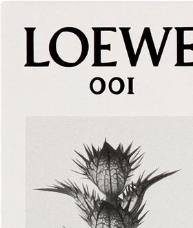 Loewe 001 Man - EDP 75 ml 6