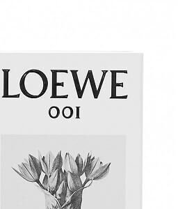 Loewe 001 Woman - EDP 100 ml 7