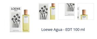 Loewe Agua - EDT 100 ml 1