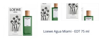 Loewe Agua Miami - EDT 75 ml 1