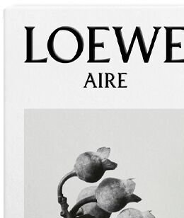 Loewe Aire Sutileza - EDT 100 ml 6