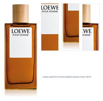 Loewe Loewe Pour Homme toaletná voda pre mužov 100 ml 1