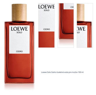 Loewe Solo Cedro toaletná voda pre mužov 100 ml 1