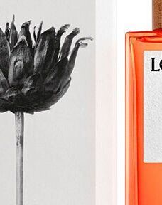 Loewe Solo Ella - EDP 100 ml 5