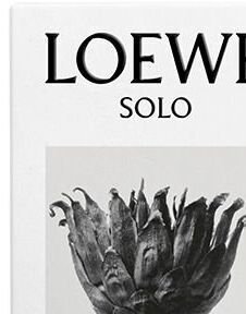 Loewe Solo Ella - EDT 100 ml 6