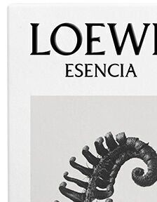 Loewe Esencia - EDP 75 ml 6