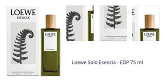 Loewe Esencia - EDP 75 ml 1