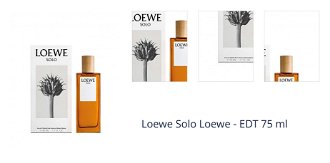 Loewe Solo Loewe - EDT 75 ml 1