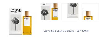 Loewe Solo Loewe Mercurio - EDP 100 ml 1