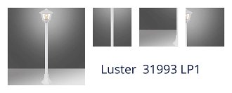 Luster  31993 LP1 1