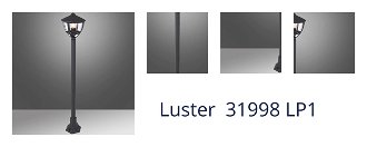 Luster  31998 LP1 1