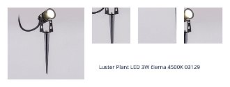 Luster Plant LED 3W čierna 4500K 03129 1