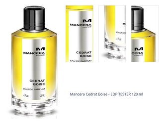 Mancera Cedrat Boise - EDP TESTER 120 ml 1