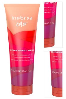 Maska na ochranu farby farbených vlasov Inebrya Color Perfect Mask - 250 ml (771026289) + darček zadarmo 3