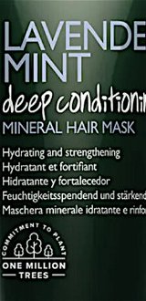 Maska na suché vlasy Paul Mitchell Tea Tree Lavender Mint Mineral Hair Mask - 150 ml (201266) + darček zadarmo 5