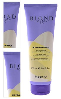 Maska proti žltým odleskom Inebrya Blondesse No-Yellow Mask - 250 ml (771026232) + darček zadarmo 4