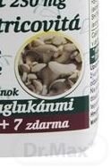 MedPharma REISHI 250 mg, Hliva ustricovitá 7
