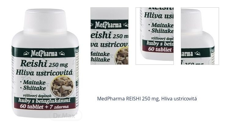 MedPharma REISHI 250 mg, Hliva ustricovitá 1