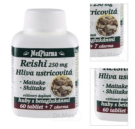MedPharma REISHI 250 mg, Hliva ustricovitá 8