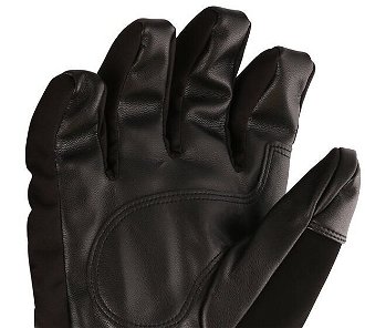 Men's gloves with ptx membrane ALPINE PRO LEDET black 7