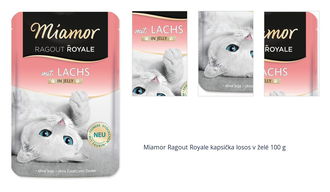 Miamor Ragout Royale kapsička losos v želé 100 g 1