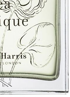 Miller Harris Tea Tonique parfumovaná voda unisex 100 ml 9