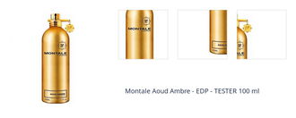 Montale Aoud Ambre - EDP - TESTER 100 ml 1