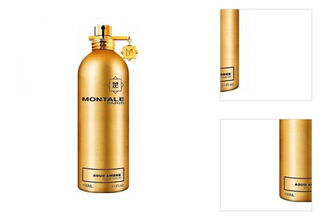 Montale Aoud Ambre - EDP - TESTER 100 ml 3