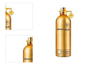 Montale Aoud Ambre - EDP - TESTER 100 ml 4