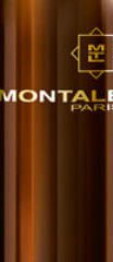 Montale Aoud Forest - EDP 100 ml 5