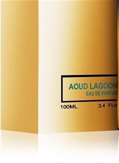 Montale Aoud Lagoon - EDP 100 ml 8
