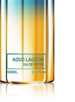 Montale Aoud Lagoon - EDP 100 ml 9