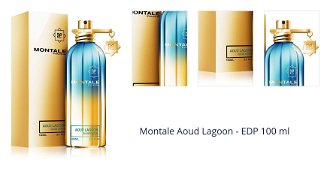 Montale Aoud Lagoon - EDP 100 ml 1